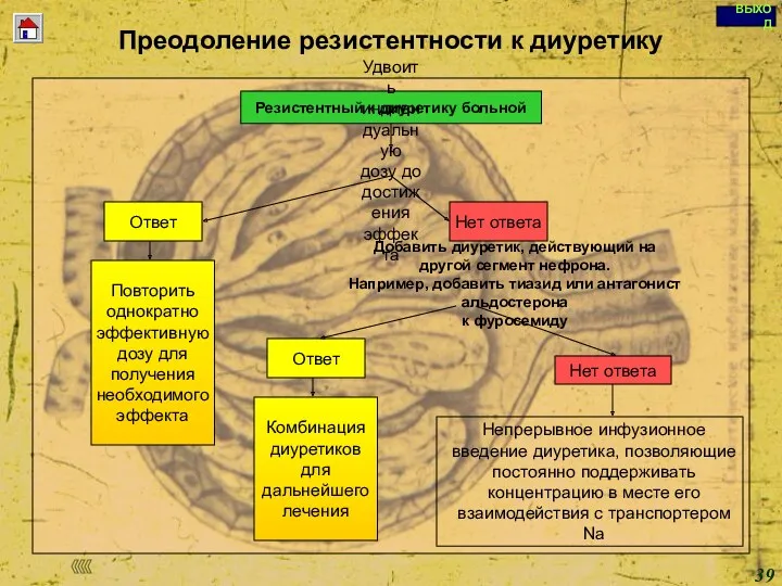 Copyright © I-Design 2002 Преодоление резистентности к диуретику