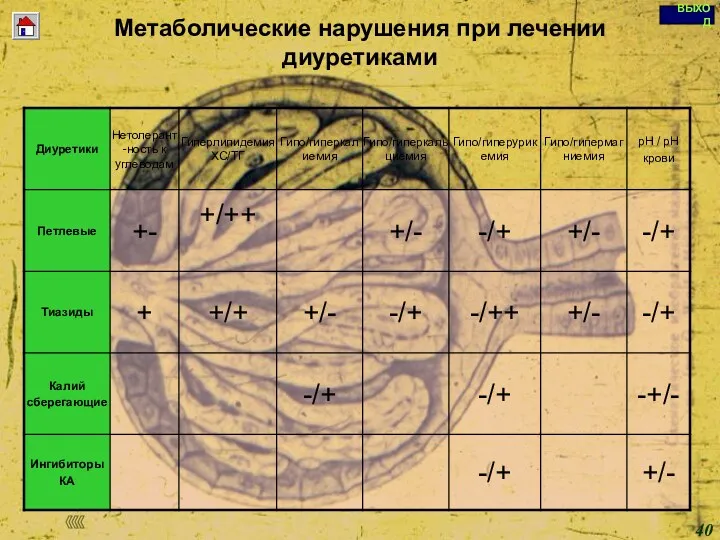 Copyright © I-Design 2002 Метаболические нарушения при лечении диуретиками