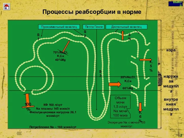 Copyright © I-Design 2002 Процессы реабсорбции в норме S3 Объем