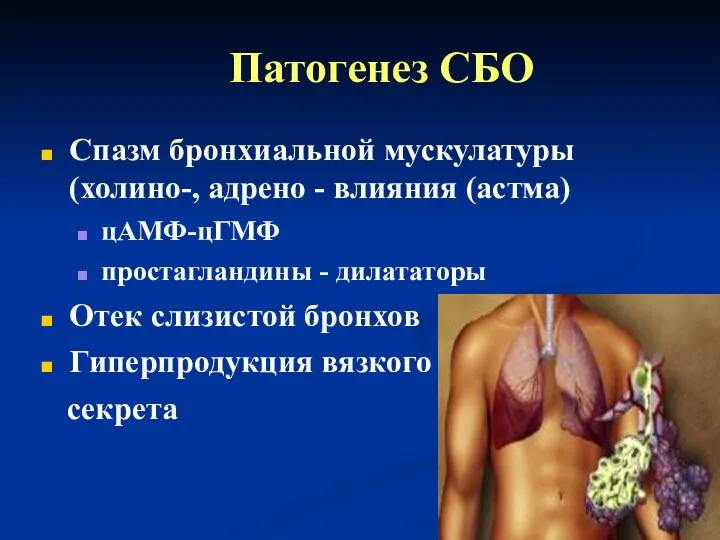 Патогенез СБО Спазм бронхиальной мускулатуры (холино-, адрено - влияния (астма)