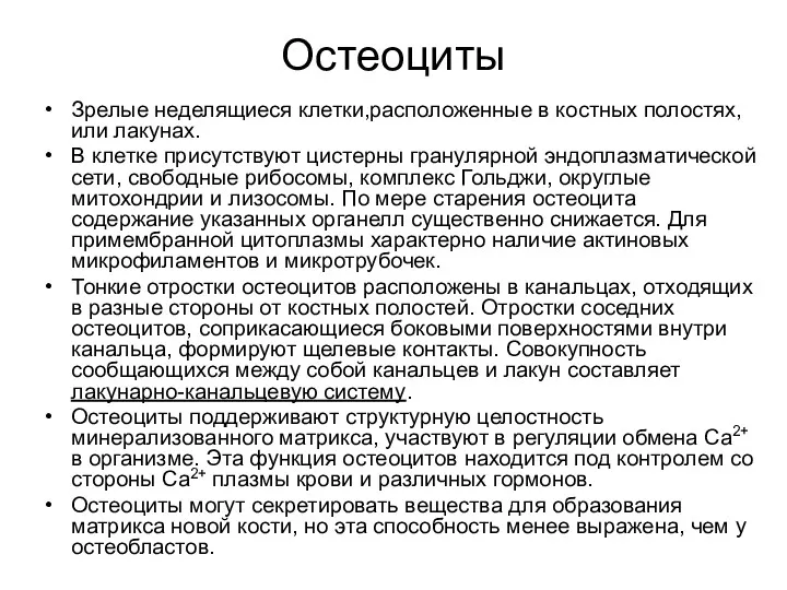 Остеоциты Зрелые неделящиеся клетки,расположенные в костных полостях, или лакунах. В