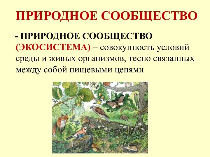 ПРИРОДНОЕ СООБЩЕСТВО - ПРИРОДНОЕ СООБЩЕСТВО (ЭКОСИСТЕМА) – совокупность условий среды и живых организмов,