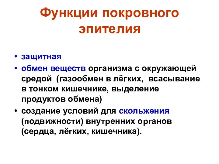 Функции покровного эпителия защитная обмен веществ организма с окружающей средой (газообмен в лёгких,