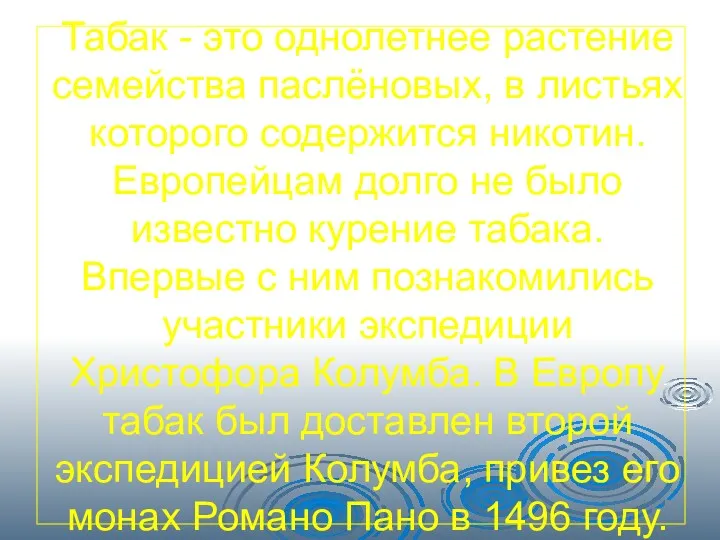 Табак - это однолетнее растение семейства паслёновых, в листьях которого