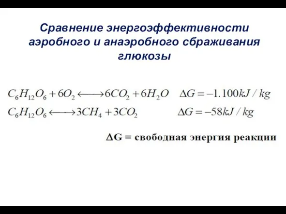 Сравнение энергоэффективности аэробного и анаэробного сбраживания глюкозы