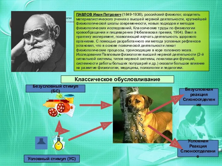 ПАВЛОВ Иван Петрович (1849-1936), российский физиолог, создатель материалистического учения о