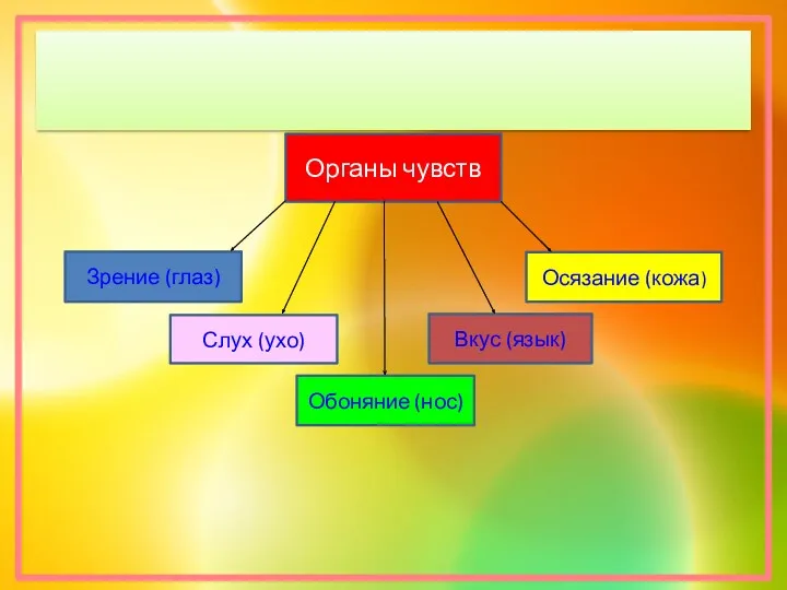 Вкус (язык) Осязание (кожа) Обоняние (нос) Слух (ухо) Зрение (глаз) Органы чувств