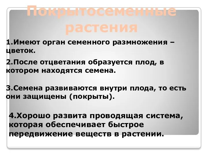 Покрытосеменные растения 4.Хорошо развита проводящая система, которая обеспечивает быстрое передвижение