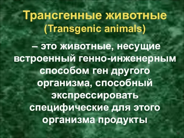 Трансгенные животные (Transgenic animals) – это животные, несущие встроенный генно-инженерным способом ген другого