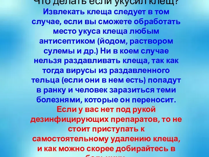 Что делать если укусил клещ? Извлекать клеща следует в том