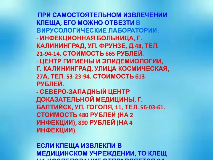 ПРИ САМОСТОЯТЕЛЬНОМ ИЗВЛЕЧЕНИИ КЛЕЩА, ЕГО МОЖНО ОТВЕЗТИ В ВИРУСОЛОГИЧЕСКИЕ ЛАБОРАТОРИИ: