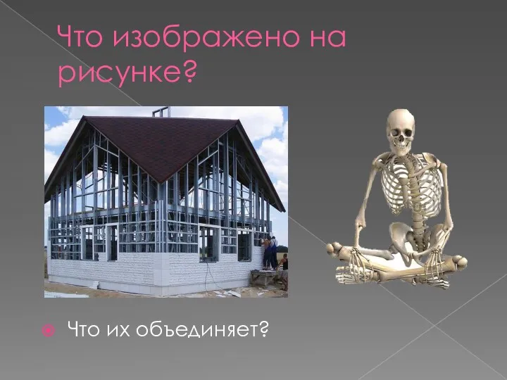 Что изображено на рисунке? Что их объединяет?