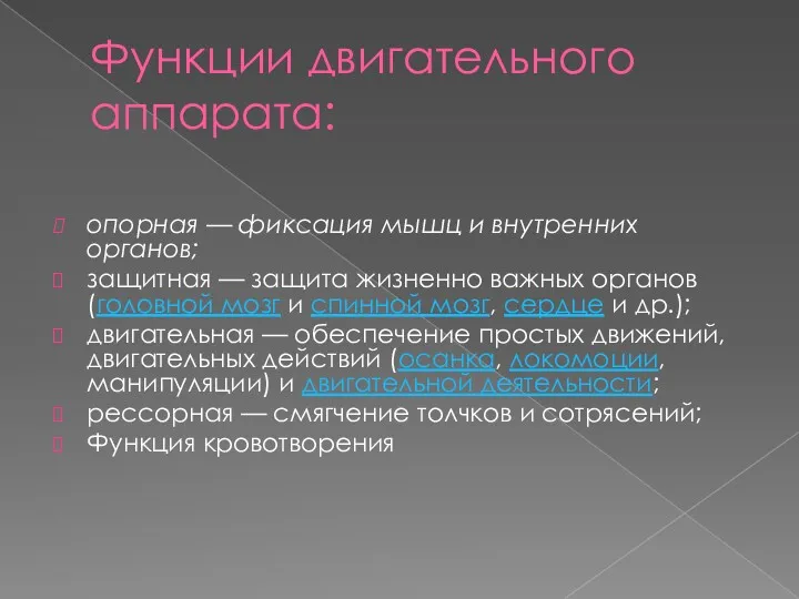 Функции двигательного аппарата: опорная — фиксация мышц и внутренних органов; защитная — защита