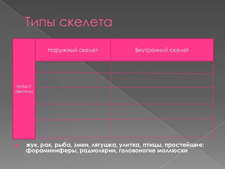 Типы скелета жук, рак, рыба, змеи, лягушка, улитка, птицы, простейшие; фораминиферы, радиолярии, головоногие