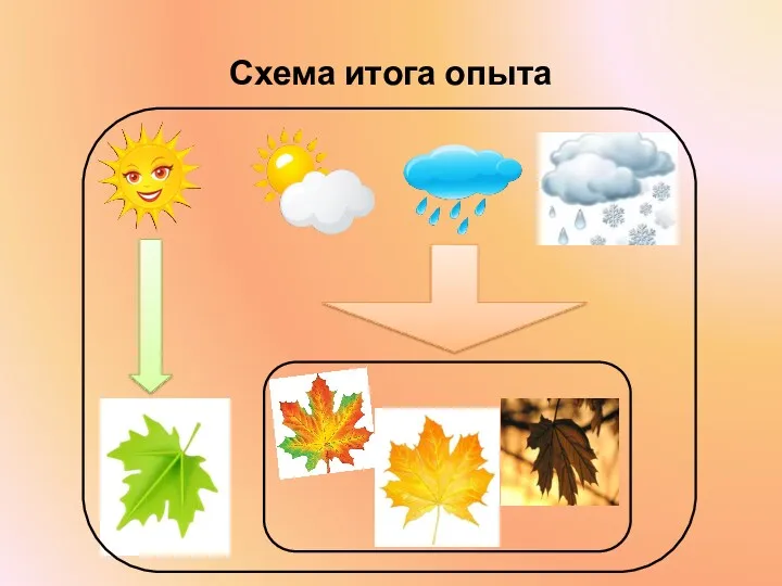 Схема итога опыта