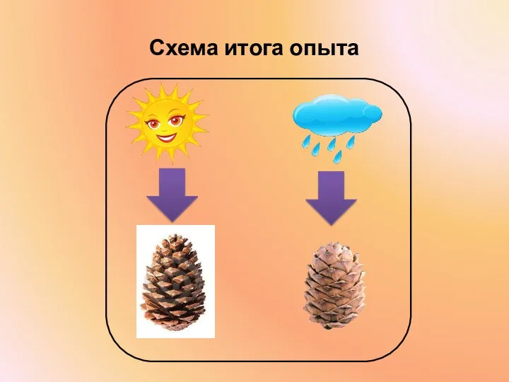 Схема итога опыта