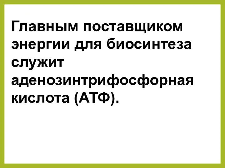 Главным поставщиком энергии для биосинтеза служит аденозинтрифосфорная кислота (АТФ).