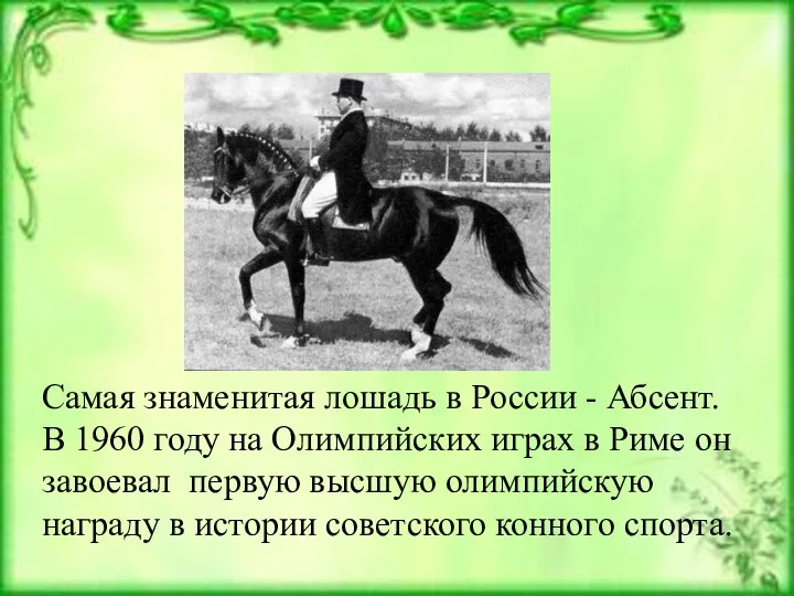 Самая знаменитая лошадь в России - Абсент. В 1960 году