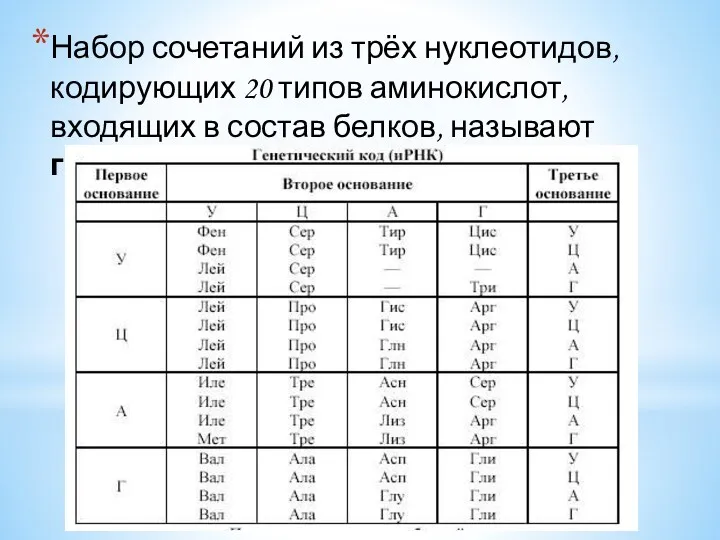 Набор сочетаний из трёх нуклеотидов, кодирующих 20 типов аминокислот, входящих в состав белков, называют генетическим кодом.