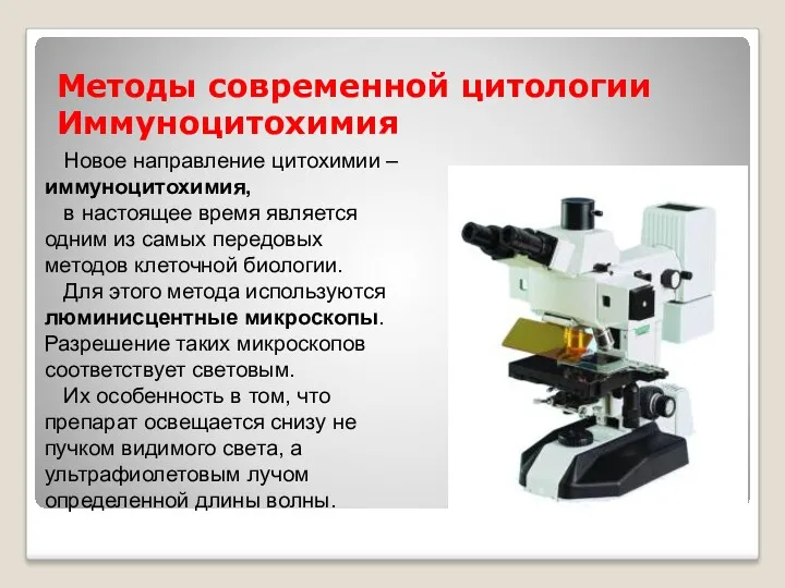 Методы современной цитологии Иммуноцитохимия Новое направление цитохимии – иммуноцитохимия, в