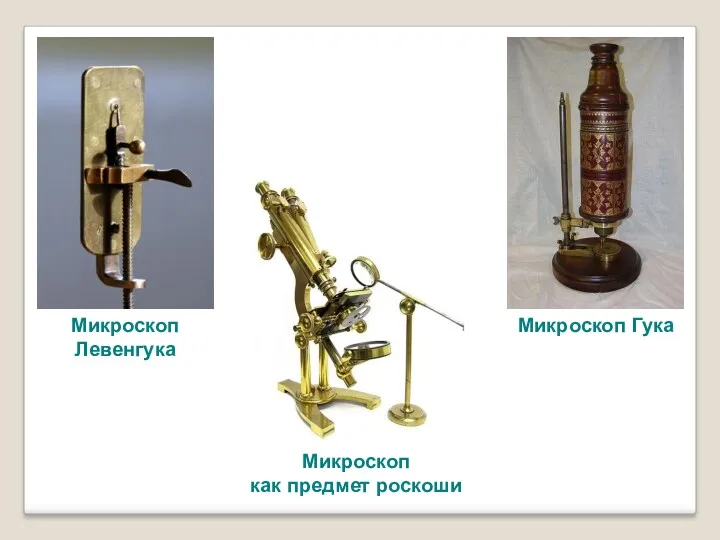 Микроскоп Левенгука Микроскоп Гука Микроскоп как предмет роскоши