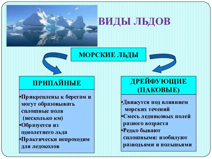 ВИДЫ ЛЬДОВ МОРСКИЕ ЛЬДЫ ПРИПАЙНЫЕ ДРЕЙФУЮЩИЕ (ПАКОВЫЕ) Прикреплены к берегам