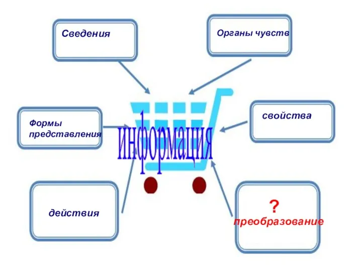 информация Сведения Органы чувств Формы представления свойства действия преобразование ?