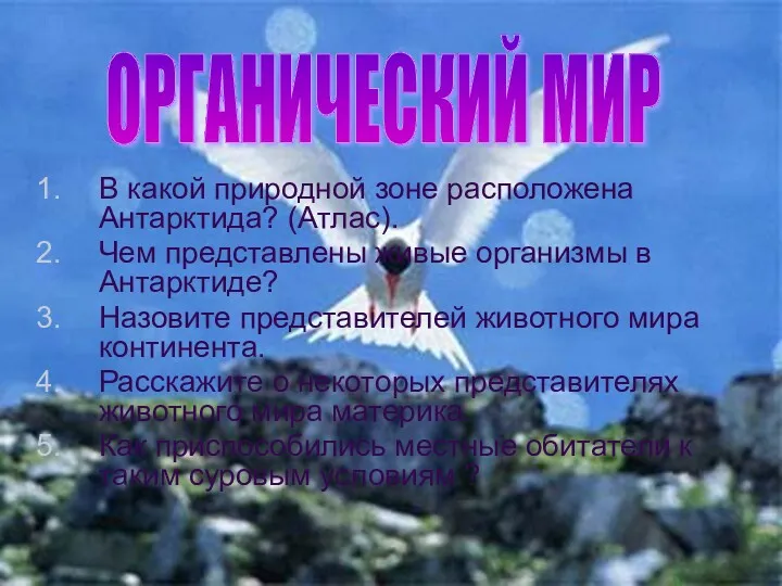 В какой природной зоне расположена Антарктида? (Атлас). Чем представлены живые