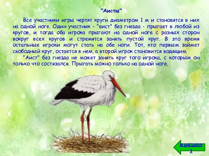 "Аисты" Все участники игры чертят круги диаметром 1 м и