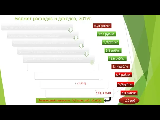 Бюджет расходов и доходов, 2019г. 35,5 млн 50,5 руб/кг 19,7 руб/кг 1,9 руб/кг