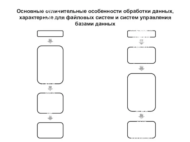 Основные отличительные особенности обработки данных, характерные для файловых систем и