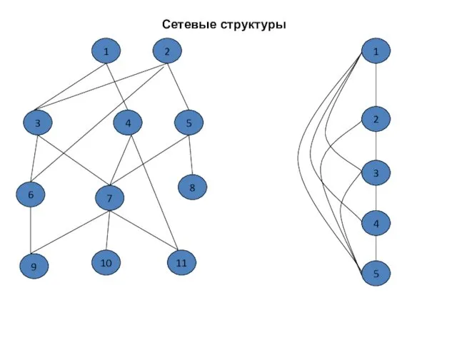 1 Сетевые структуры 2 3 4 5 6 7 8