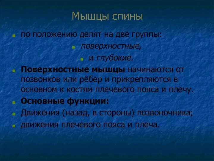 Мышцы спины по положению делят на две группы: поверхностные, и