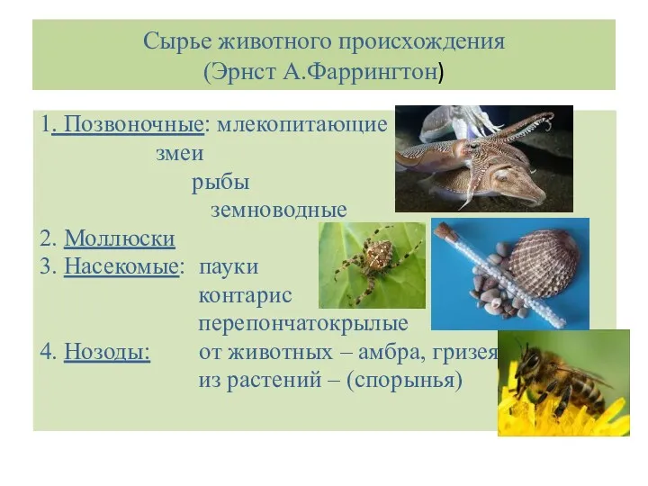 Сырье животного происхождения (Эрнст А.Фаррингтон) 1. Позвоночные: млекопитающие змеи рыбы