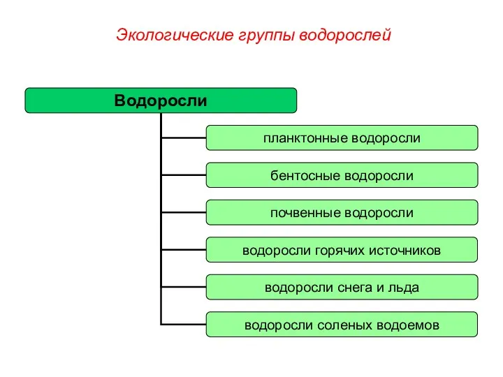 Экологические группы водорослей