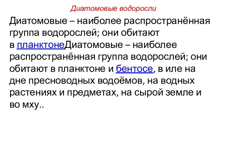 Диатомовые – наиболее распространённая группа водорослей; они обитают в планктонеДиатомовые