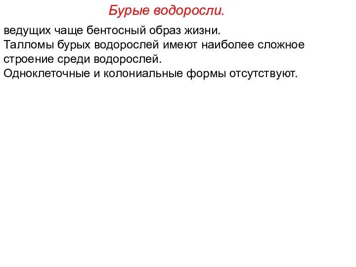 ведущих чаще бентосный образ жизни. Талломы бурых водорослей имеют наиболее