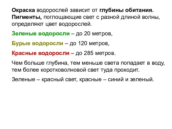 ВОДОРОСЛИ Окраска водорослей зависит от глубины обитания. Пигменты, поглощающие свет