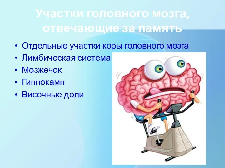 Участки головного мозга,отвечающие за память Отдельные участки коры головного мозга Лимбическая система Мозжечок Гиппокамп Височные доли
