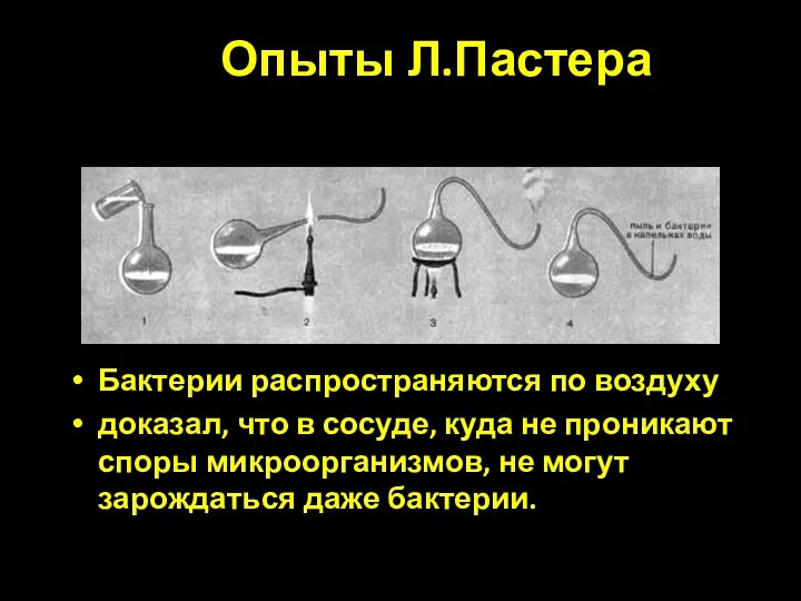 Опыты Л.Пастера Бактерии распространяются по воздуху доказал, что в сосуде,