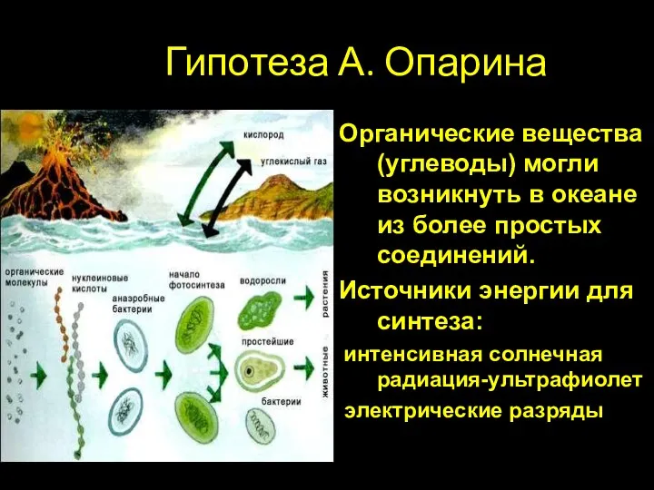 Гипотеза А. Опарина Органические вещества (углеводы) могли возникнуть в океане из более простых