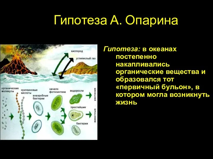 Гипотеза А. Опарина Гипотеза: в океанах постепенно накапливались органические вещества и образовался тот
