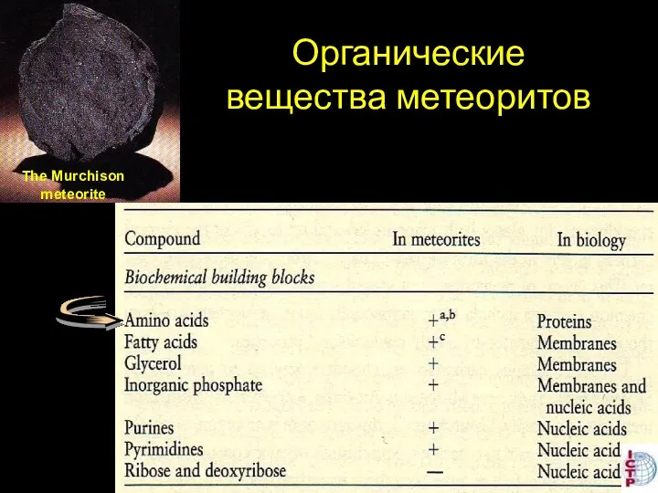 Органические вещества метеоритов The Murchison meteorite