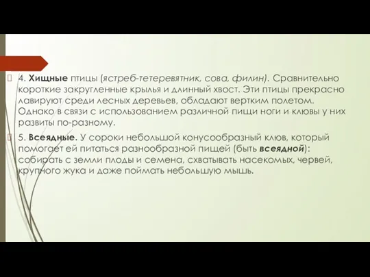 4. Хищные птицы (ястреб-тетеревятник, сова, филин). Сравнительно короткие закругленные крылья