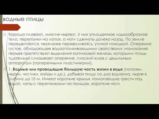 водные птицы Хорошо плавают, многие ныряют. У них уплощенное лодкообразное