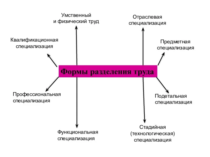 Формы разделения труда Умственный и физический труд Квалификационная специализация Профессиональная