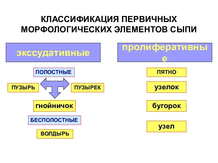 КЛАССИФИКАЦИЯ ПЕРВИЧНЫХ МОРФОЛОГИЧЕСКИХ ЭЛЕМЕНТОВ СЫПИ экссудативные пролиферативные ПЯТНО узелок гнойничок