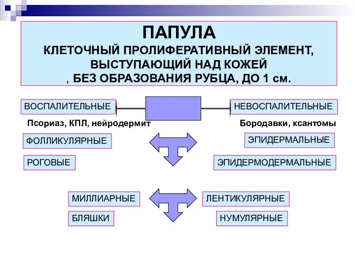 ПАПУЛА КЛЕТОЧНЫЙ ПРОЛИФЕРАТИВНЫЙ ЭЛЕМЕНТ, ВЫСТУПАЮЩИЙ НАД КОЖЕЙ , БЕЗ ОБРАЗОВАНИЯ