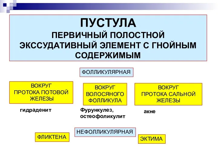 ПУСТУЛА ПЕРВИЧНЫЙ ПОЛОСТНОЙ ЭКССУДАТИВНЫЙ ЭЛЕМЕНТ С ГНОЙНЫМ СОДЕРЖИМЫМ ФОЛЛИКУЛЯРНАЯ НЕФОЛЛИКУЛЯРНАЯ