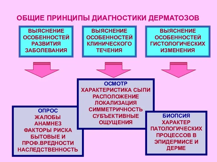 ОБЩИЕ ПРИНЦИПЫ ДИАГНОСТИКИ ДЕРМАТОЗОВ ВЫЯСНЕНИЕ ОСОБЕННОСТЕЙ РАЗВИТИЯ ЗАБОЛЕВАНИЯ ВЫЯСНЕНИЕ ОСОБЕННОСТЕЙ